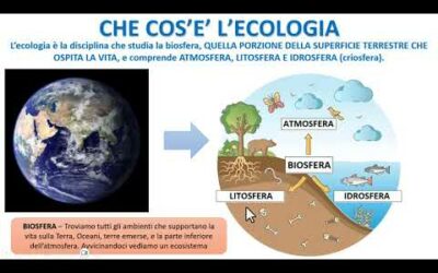 CHE COS’E’ L’ECOLOGIA