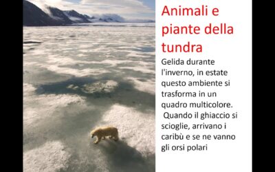 ambienti ed ecosistemi