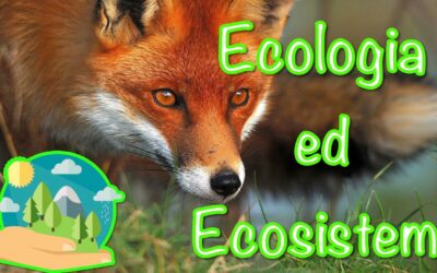 Ecologia ed Ecosistemi #1