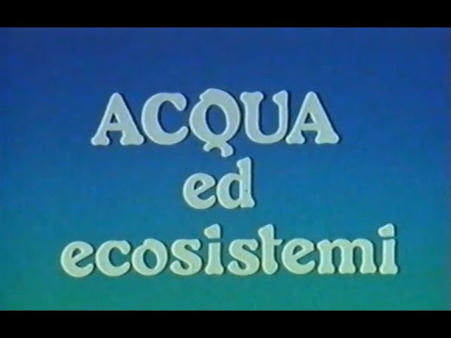 Acqua ed ecosistemi – parte 1