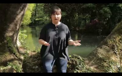 Ecologia ed ecosistemi