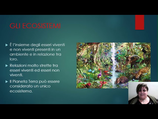 Ambienti ed ecosistemi