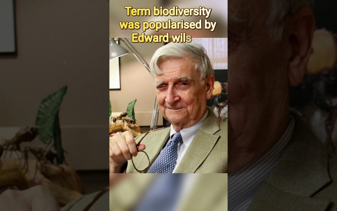 Term biodiversity was popularised by Edward wilson