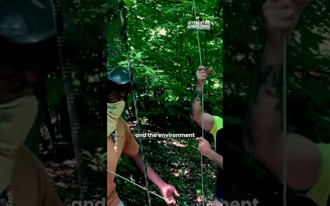 Environmental Monitoring To Endangered Species