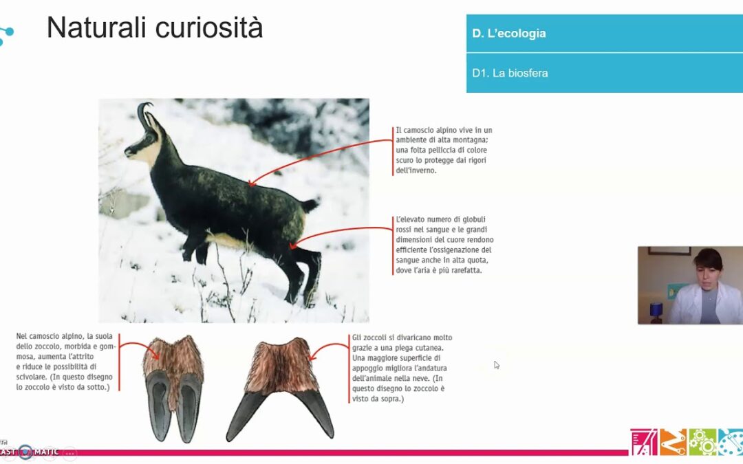 D1.  L’ecologia – La biosfera