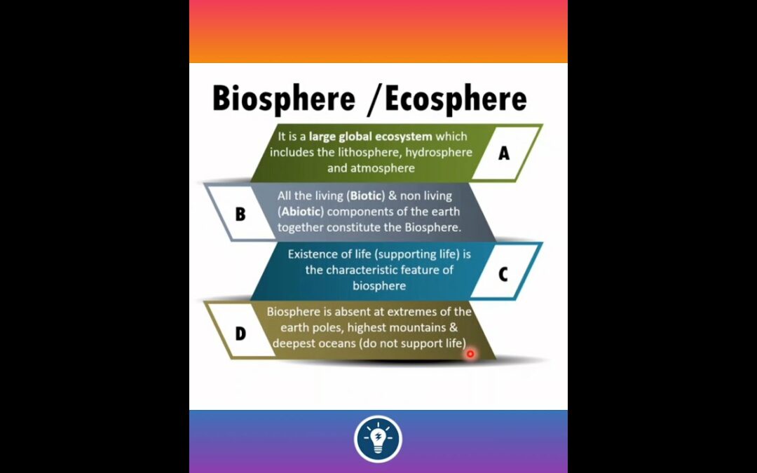 Biosphere or Ecosphere | Ecology and Ecosystem #shorts #neet