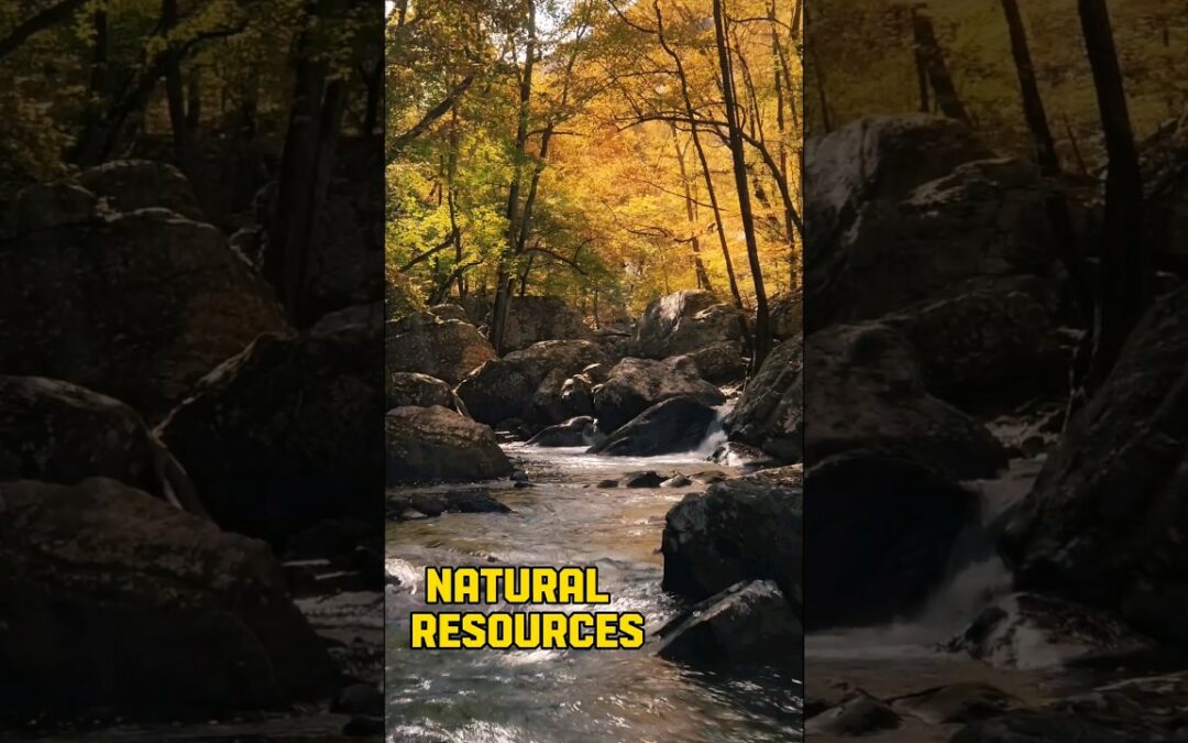 NATURAL RESOURCES #naturalresources || WHAT IS NATURAL RESOURCES #shorts#viral#trending