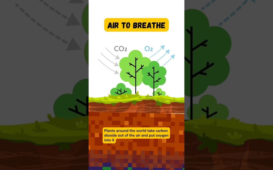 Unlock the Secret of Biodiversity in 60 Seconds! #ScienceShorts #earth #planet