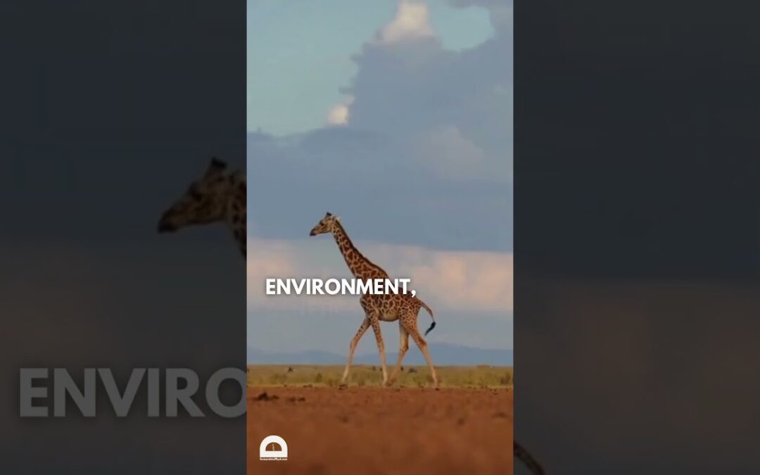 Animal Behavior | #biology #science #zoology #animals