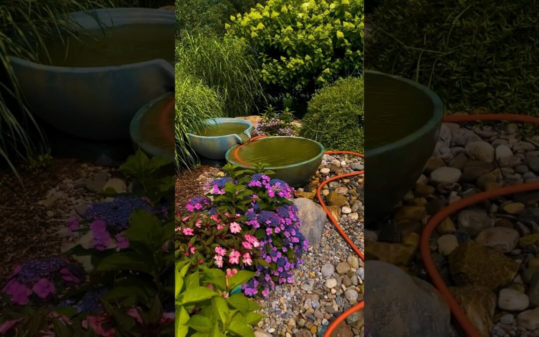 Plants = Pollination! | #shorts #plants #gardening