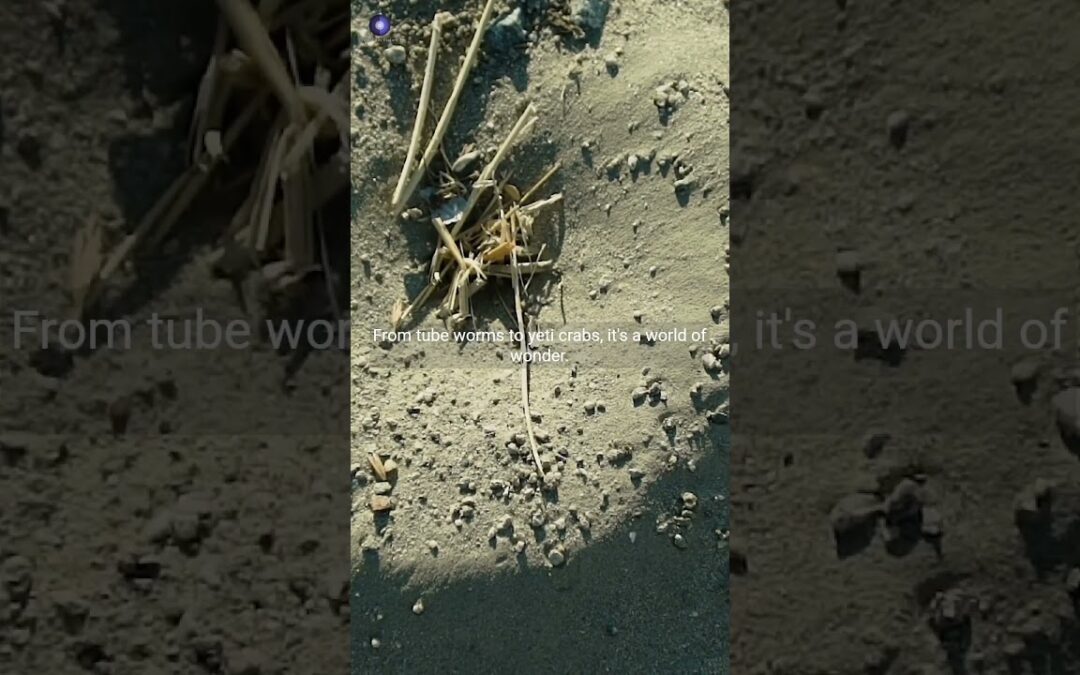 Unveiling the Mysteries of Hydrothermal Vent Ecosystems #sciencefacts #naturedocumentary #fact