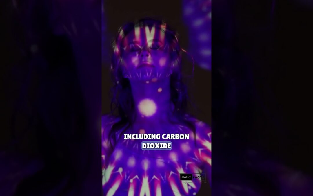 ️ Earth’s Air Symphony  Discover the composition of our life-sustaining atmosphere!