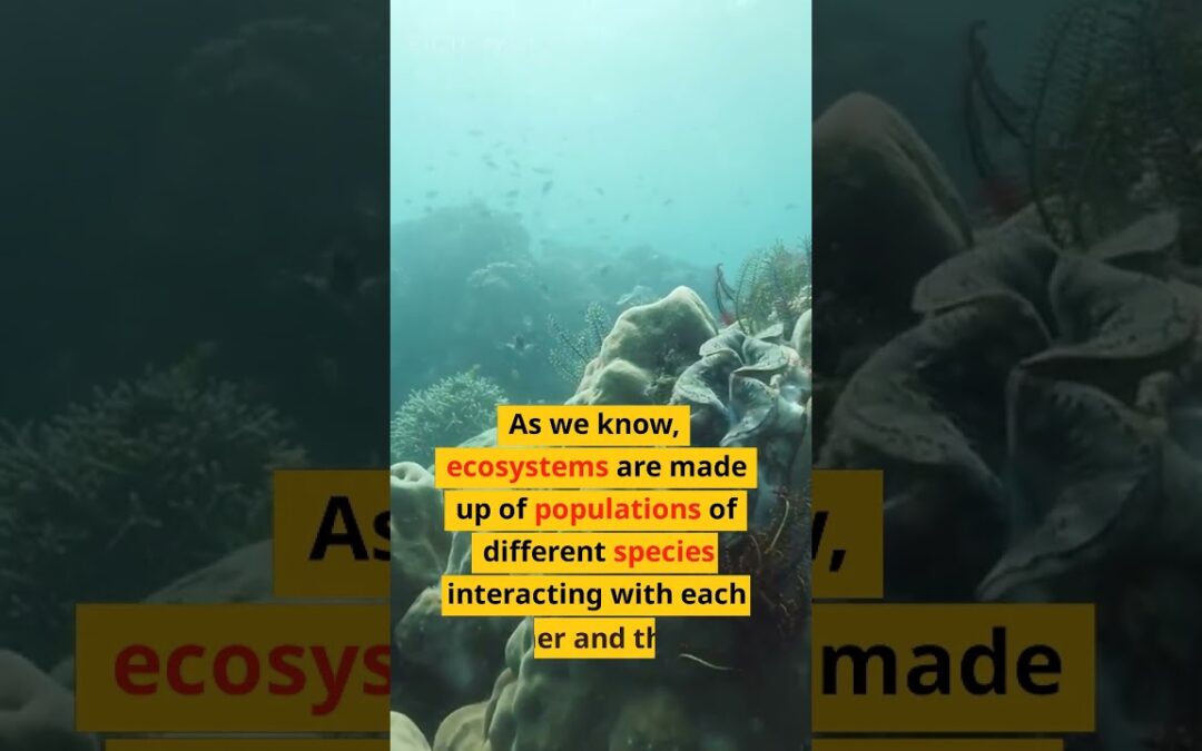 #shorts  Ecosystems: Mathematical Models for Ecosystems