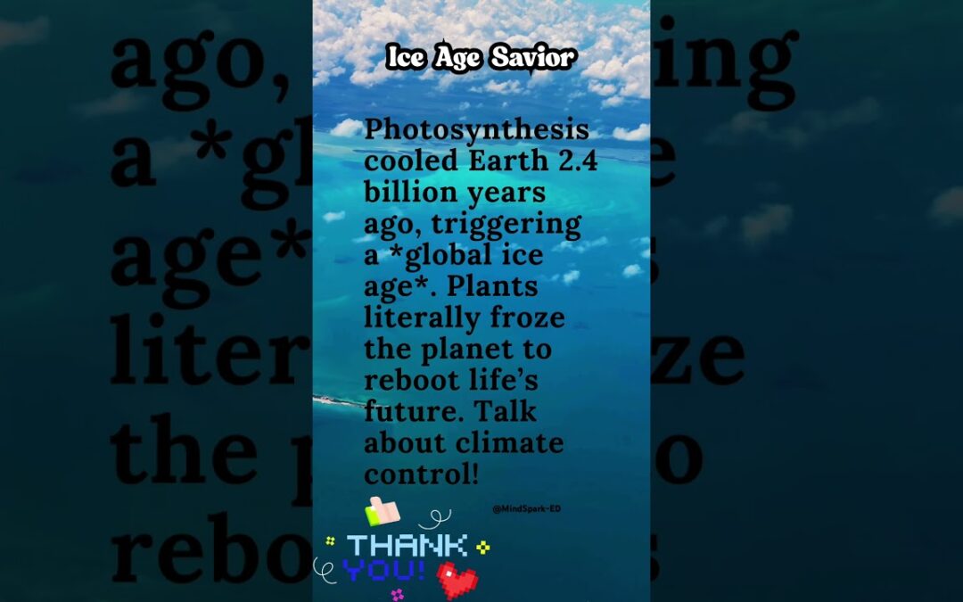What’s the MAGIC of Environmental Science? #environmentalscience #ecology #facts #photosynthesis