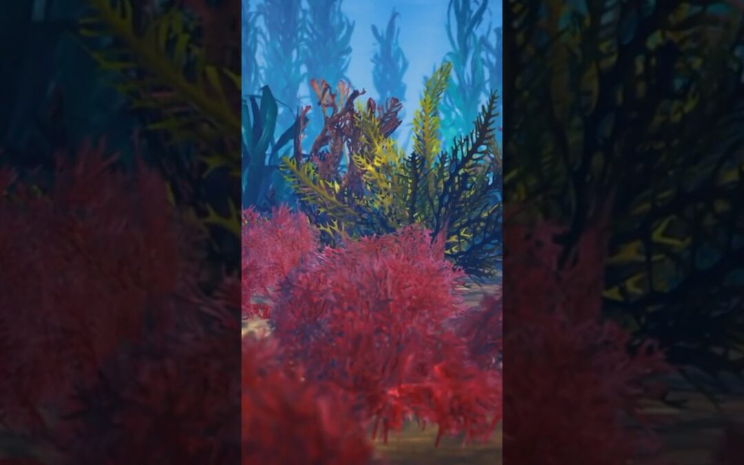 Seaweed: Invisible Gardens of the Sea
