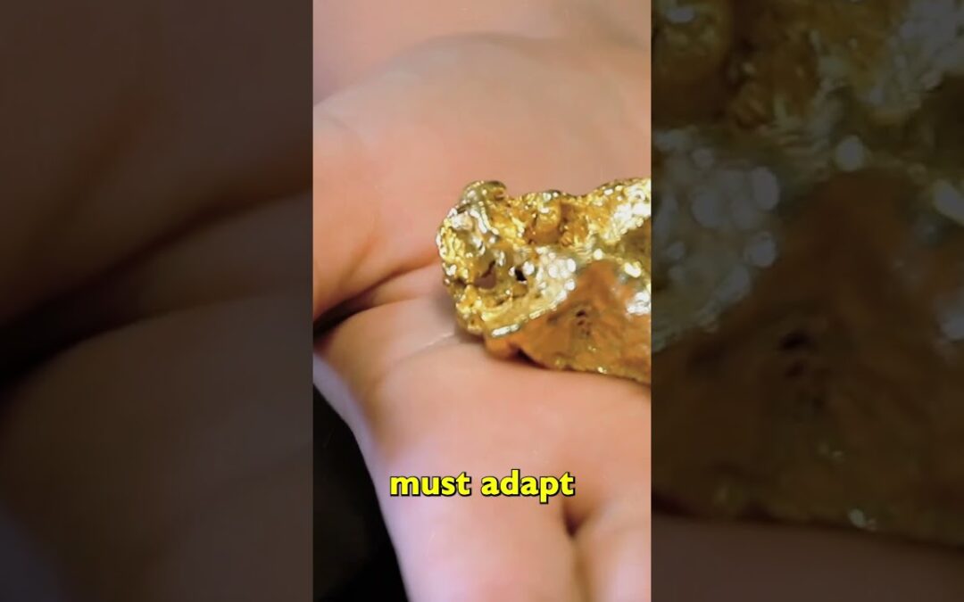 Responsible Mining: Balancing Gold and Ecology