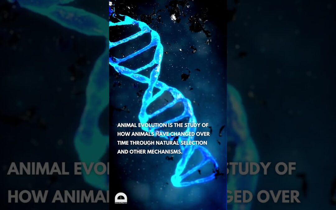 Animal Evolution | #biology #science #zoology #animals
