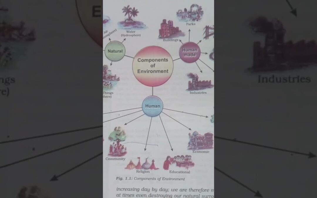 #components of environment