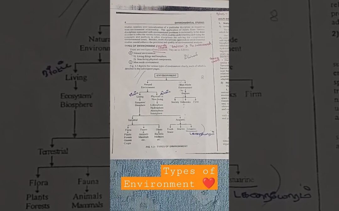 Types Of Environment tips and tricks shortcut flowchart