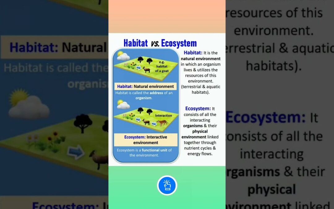 Definition of Habitat and Ecosystem #shorts #neet