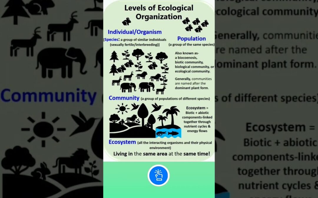 Species vs Population and Community vs Ecosystem #shorts #neet