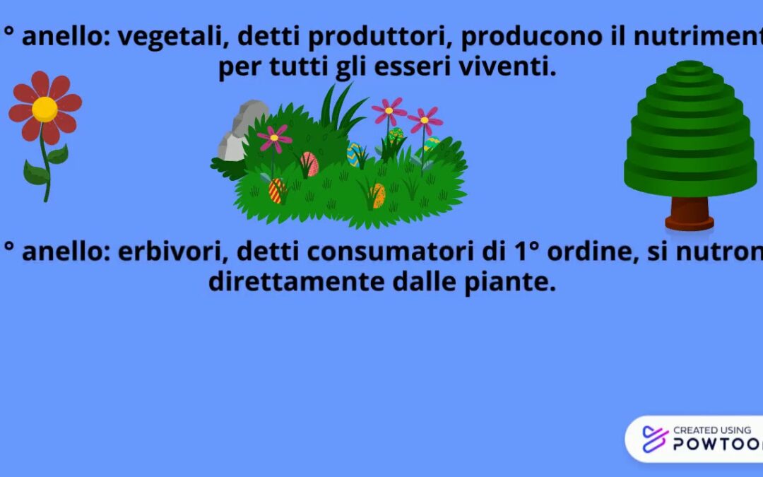 AMBIENTI ed ECOSISTEMA seconda parte