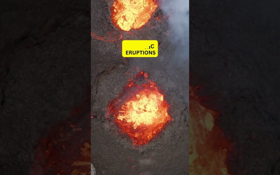 The Great Dying: Unraveling Earth’s Greatest Natural Catastrophe