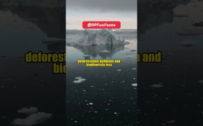 Human activities have profoundly impacted the Earth’s environment | DPFunFacts #earth