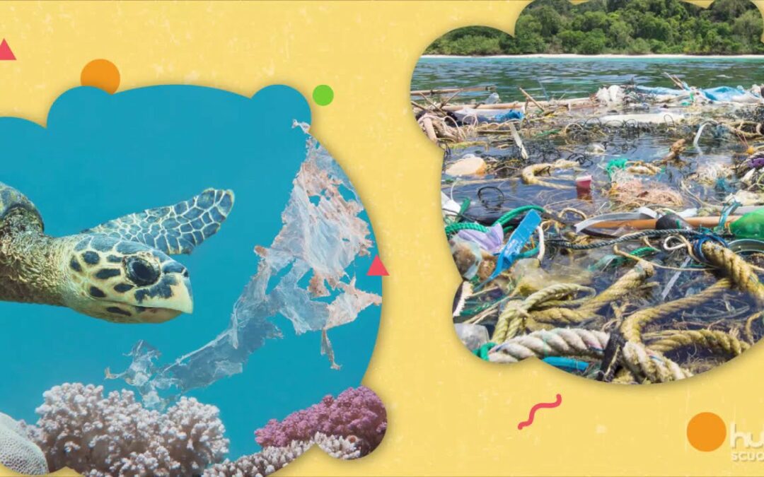 Dentro e fuori: Gli ecosistemi