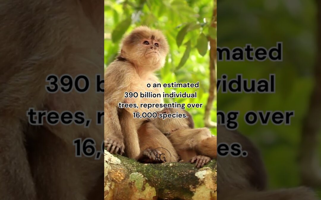 Amazon Rainforest: Earth’s Green Marvel #AmazonRainforest #Conservation #EcosystemProtection