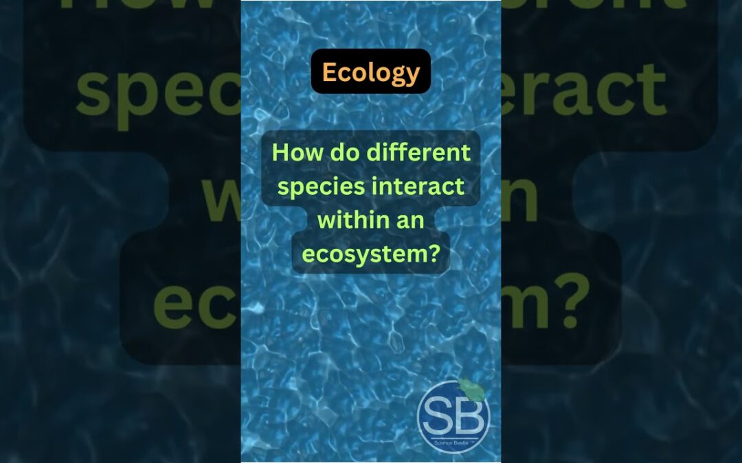 BF6: Ecology – How do different species interact within an ecosystem? #biology, #ecology #science