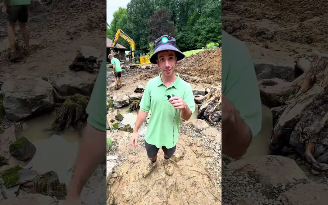 Wells on Serpa’s New Pond! | #shorts