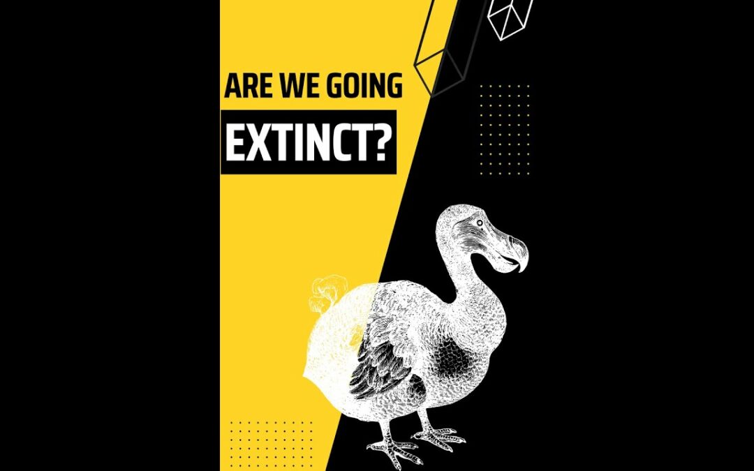 Coral Reefs: The Key to Predicting the Next Mass Extinction