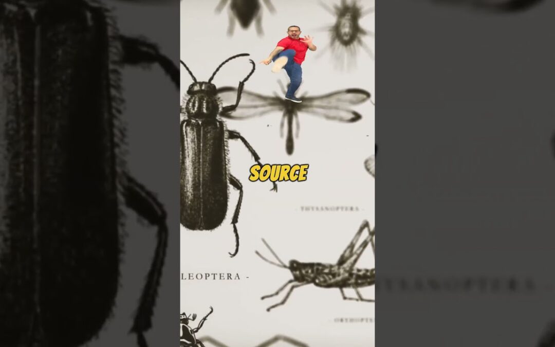 Should We Let Mosquitoes Go Extinct #shorts