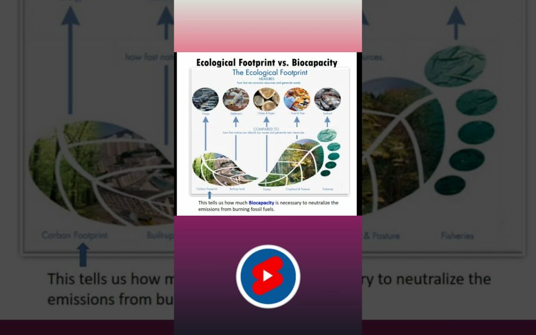 Ecological Footprint vs Biocapacity vs Carbon Footprint | #shorts #neet