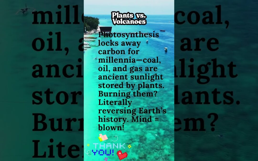 MIND BLOWING Photosynthesis Secrets! #facts #plants #biology #botany #photosynthesis #plantslover