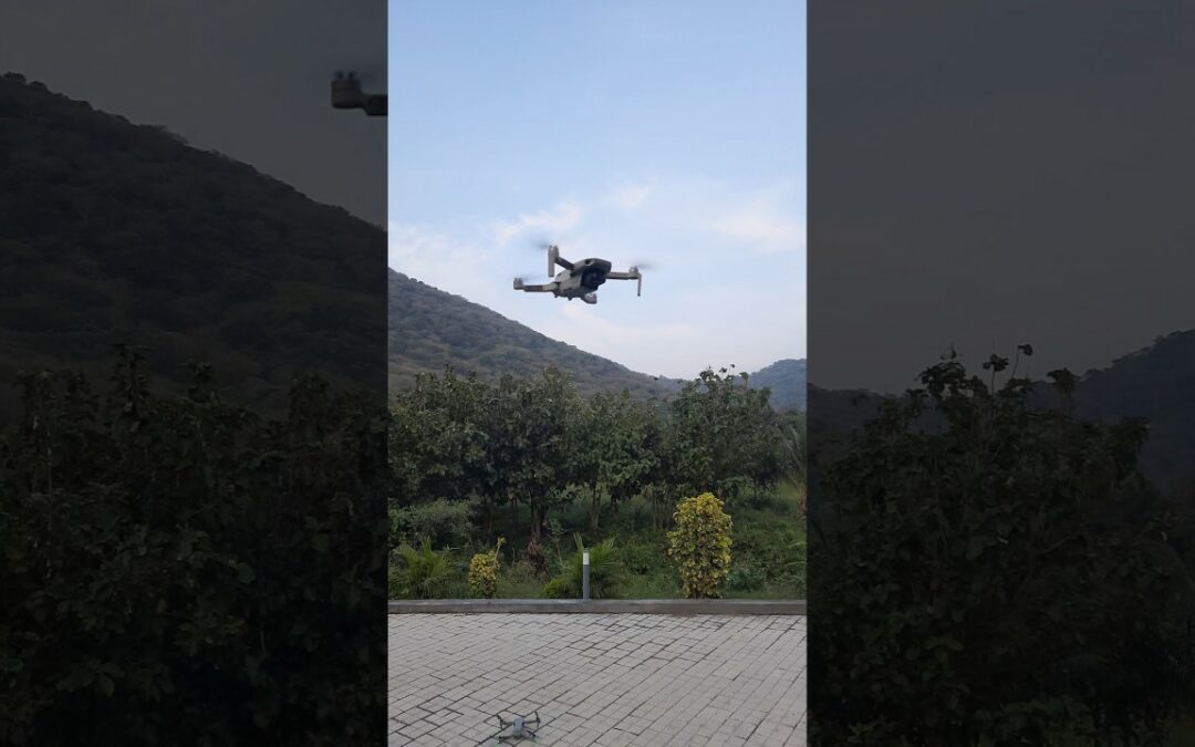 Drone dive: Exploring from above