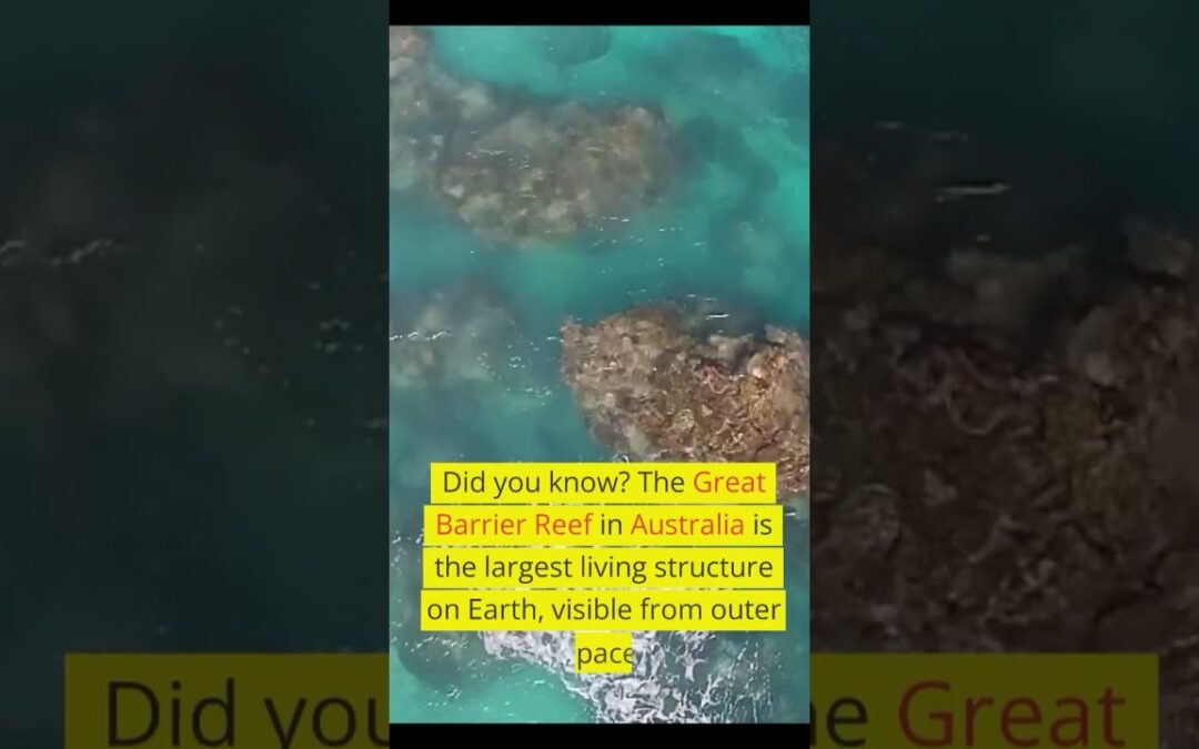 Exploring the Marvels of the Great Barrier Reef in Australia!