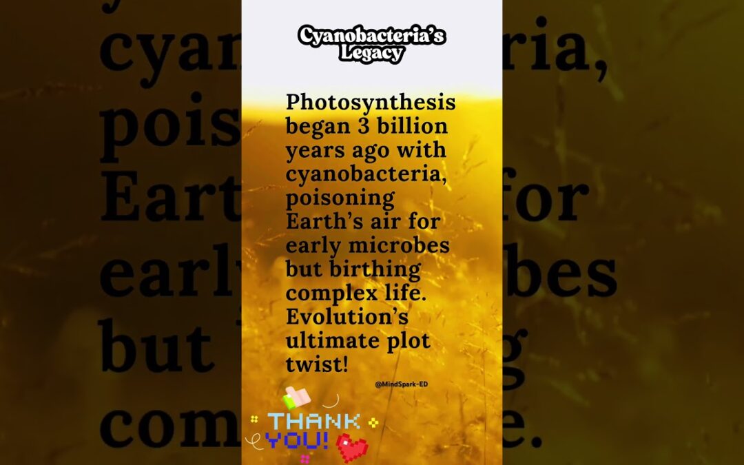 MIND BLOWING facts about PHOTOSYNTHESIS That Will BLOW Your Mind! #biology #plants #photosynthesis