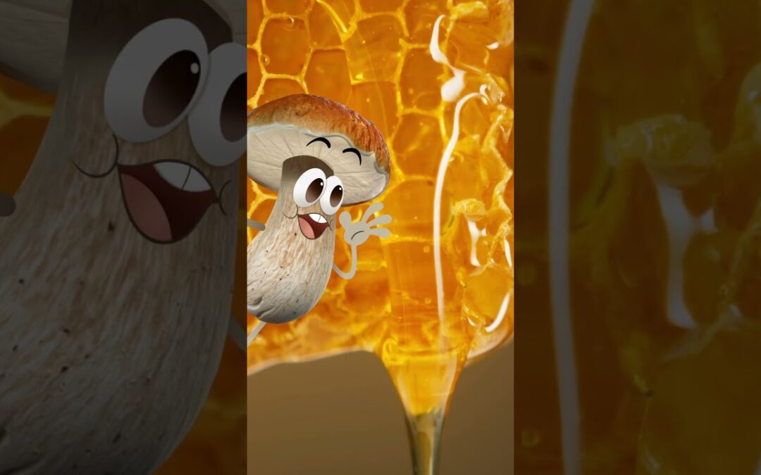 Honey can last… FOREVER? | Future Chicken