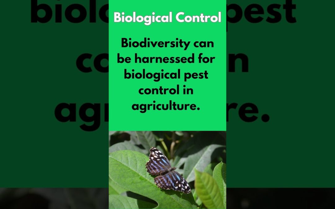 The Importance of biodiversity for the planet  #biodiversity #health #wellbeing #balance #ecological