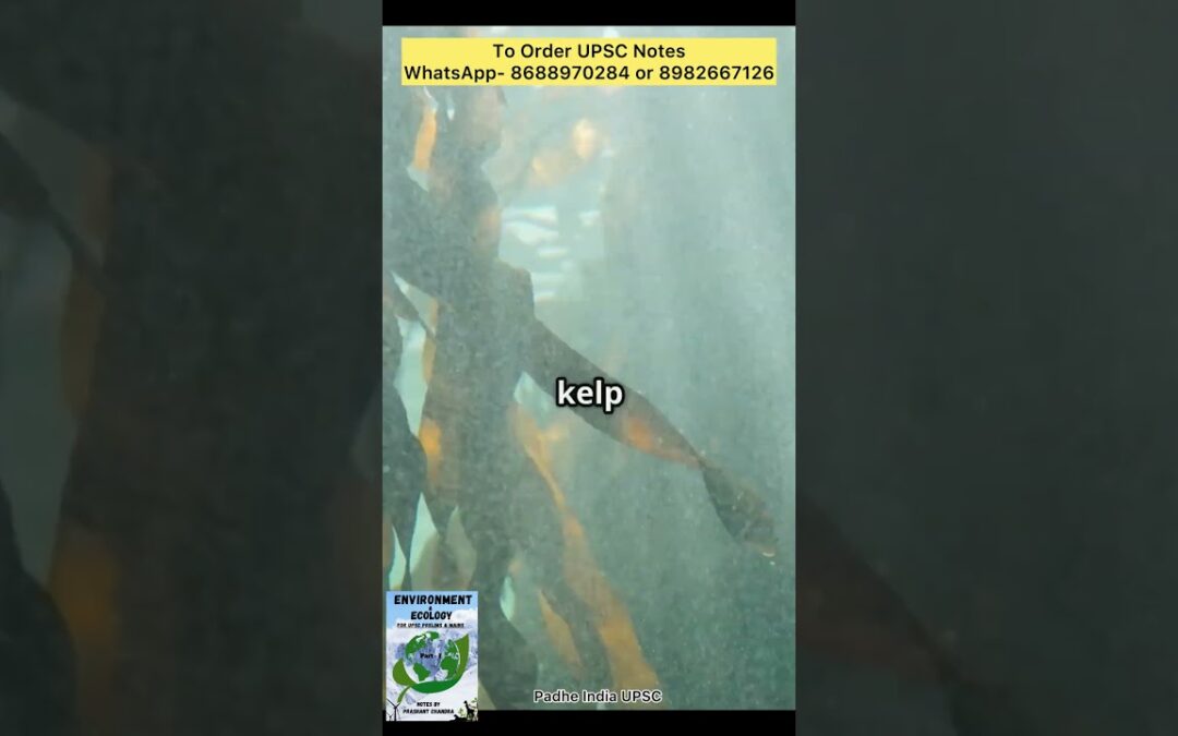 Keystone Species Explained | Environment & Ecology For UPSC | Environment Notes #environment