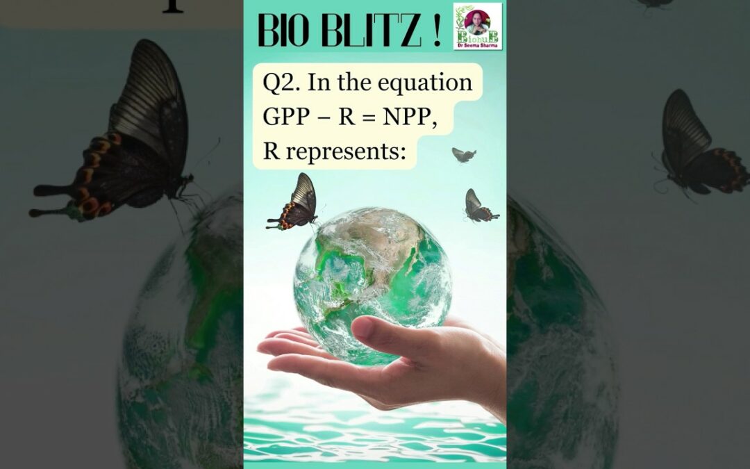 Bio Blitz : 1Minute, 3 MCQs! #biology #science #neet #lifescience   #botanyquiz  #biolife #neet