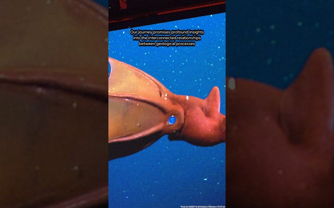 Deep Sea Trenches #shorts #sea