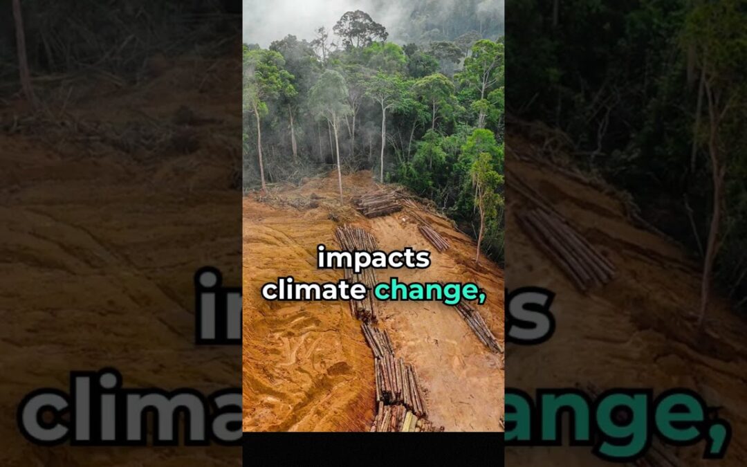 Deforestation: The Silent Ecological Threat”