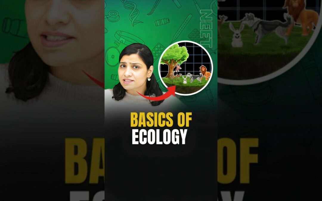 Basics of Ecology | NEET Concept #neetbiology #neet2024 #neetpreparation