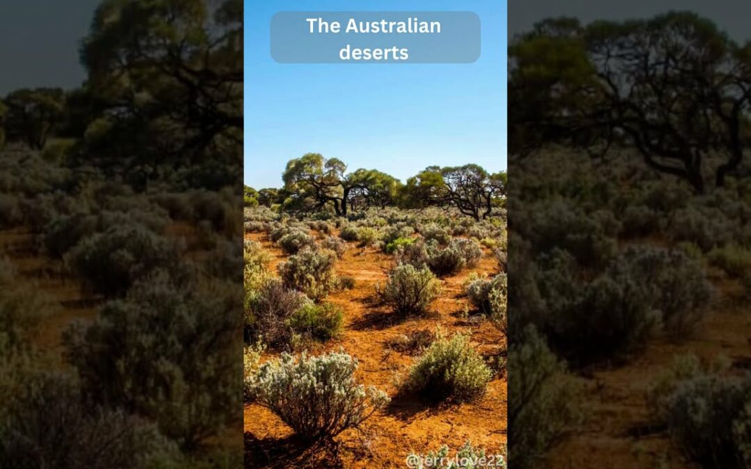 Australian Deserts: Vast Landscapes of Arid Beauty