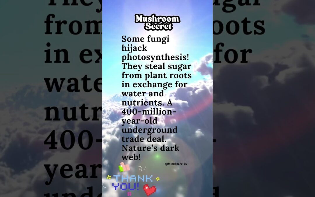 What’s the SECRET to Photosynthesis? #environmentalscience #ecology #facts #photosynthesis #plants