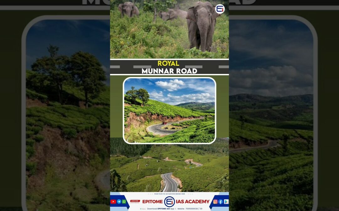 Reviving the Royal Munnar Road: A Battle Between Heritage & Ecosystem | Kerala’s Future #munnar