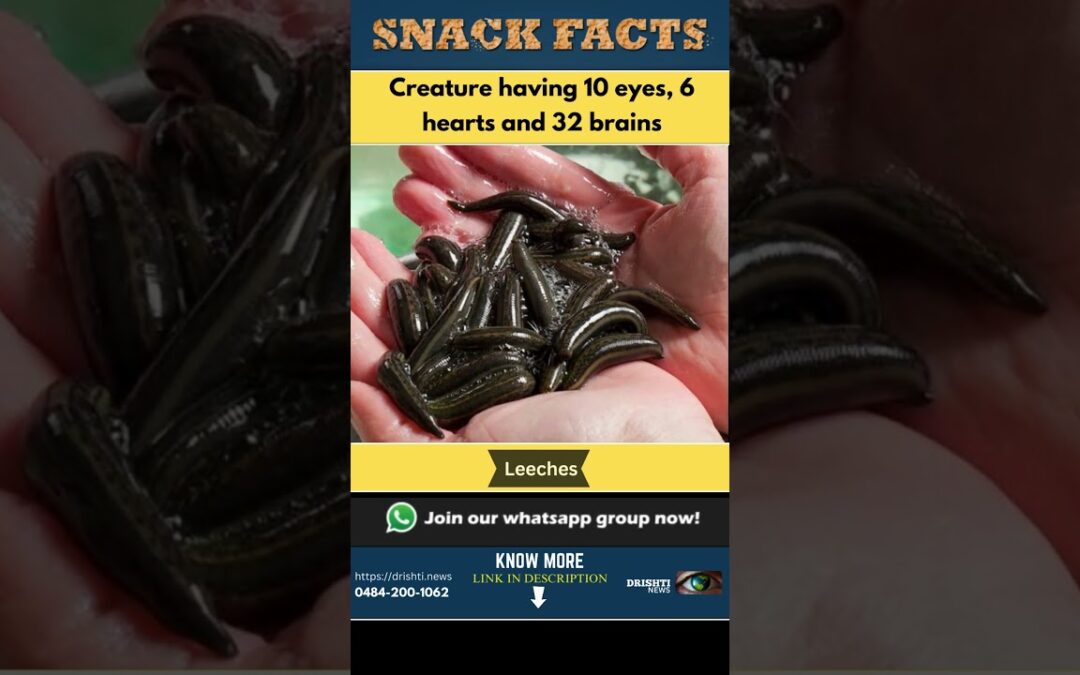 Leeches.To know more visit the link in comments